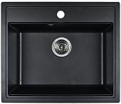 Кухонная мойка Wisent 600-26W (с сифоном GER013)