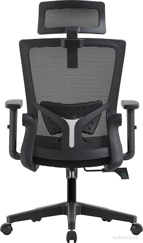 Офисное кресло Evolution ErgoLine 1 (черный)