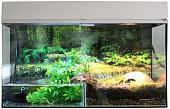 Террариум Lucky Reptile Стартовый комплект для амфибий SK50BP-W (белый)