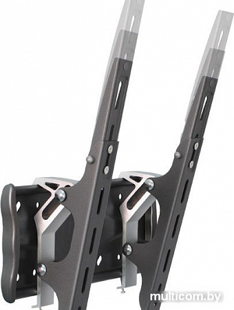 Кронштейн Holder LCDS-5028