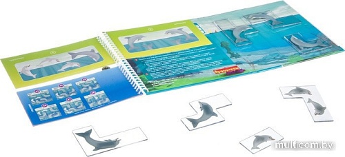 Развивающая игра Bondibon Smartgames Дельфинчики ВВ4675