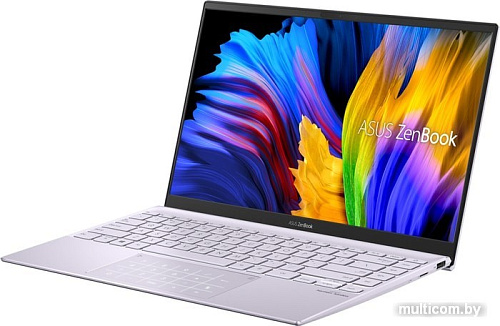 Ноутбук ASUS ZenBook 14 UM425UA-AM296