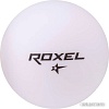Мяч для настольного тенниса Roxel Tactic (белый, 1 звезда, 6 шт.)