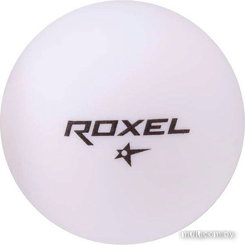 Мяч для настольного тенниса Roxel Tactic (белый, 1 звезда, 6 шт.)