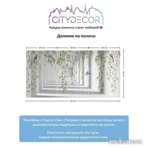 Виниловые обои Citydecor Flower Tunnel 3D 1 300x150