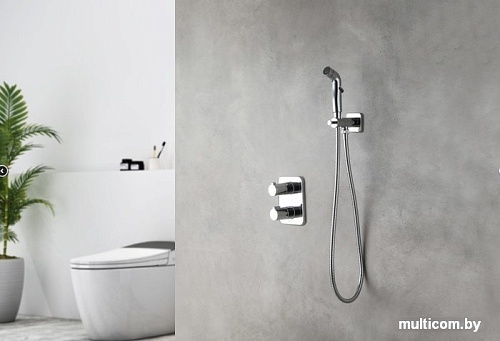 Гигиенический душ Lemark Yeti LM7820C