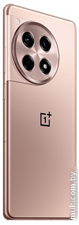 Смартфон OnePlus Ace 3 16GB/512GB китайская версия (бронзовый)