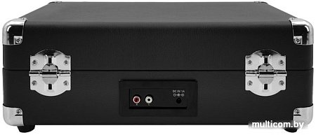 Виниловый проигрыватель Ritmix LP-120B (черный)