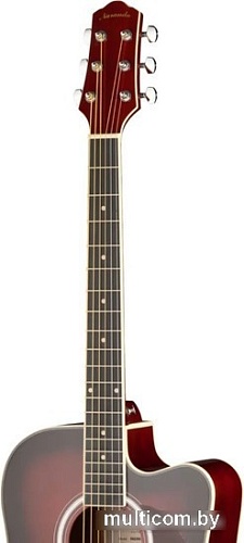 Акустическая гитара Naranda DG220CWRS