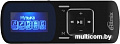 MP3 плеер Ritmix RF-3490 8GB (черный)