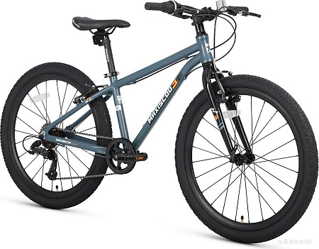 Велосипед Maxiscoo 3bike 24 M 2025 MSC-M3-2401 (серый матовый, разобранный)