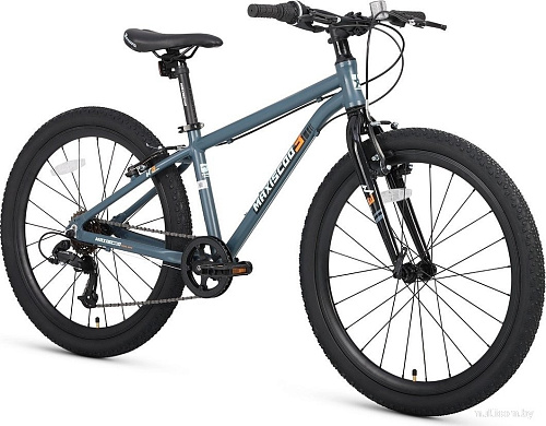 Велосипед Maxiscoo 3bike 24 M 2025 MSC-M3-2401 (серый матовый, разобранный)