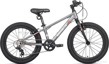 Детский велосипед Maxiscoo 5bike 20 M200 2025 MSC-M5-2012 (графит, разобранный)