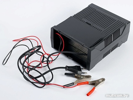 Зарядное устройство AVS BT-6020