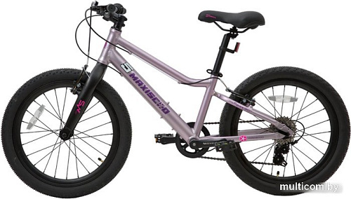 Детский велосипед Maxiscoo 5Bike 20 L 2024 (розовый сапфир)