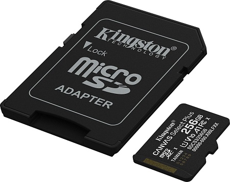 Карта памяти Kingston Canvas Select Plus microSDXC 256GB SDCS3/256GB (с адаптером)
