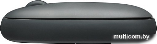 Мышь Rapoo M650 (чёрный)