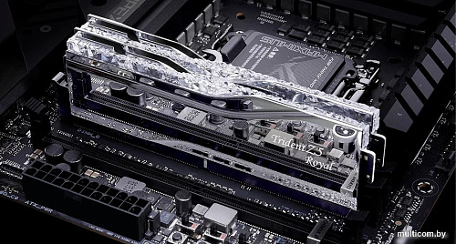 Оперативная память G.Skill Trident Z5 Royal 2x16ГБ DDR5 6400 МГц F5-6400J3039G16GX2-TR5S