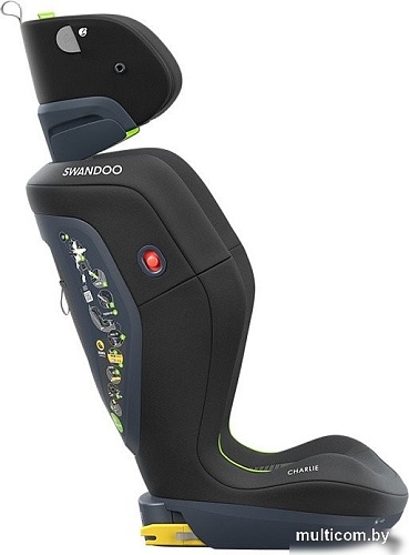 Детское автокресло Swandoo Charlie i-size (chia black)