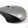 Мышь SmartBuy 309AG Silver/Black (SBM-309AG-SK)