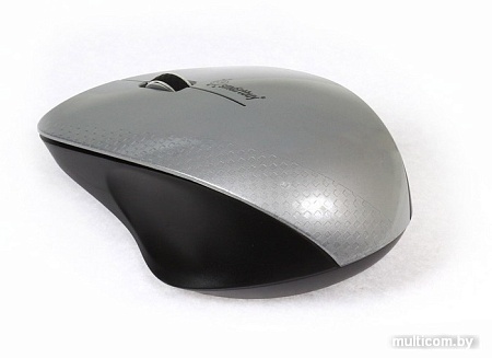 Мышь SmartBuy 309AG Silver/Black (SBM-309AG-SK)