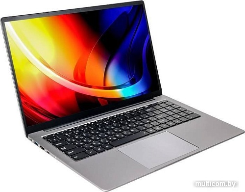 Ноутбук Hiper Expertbook MTL1601A1235UDS