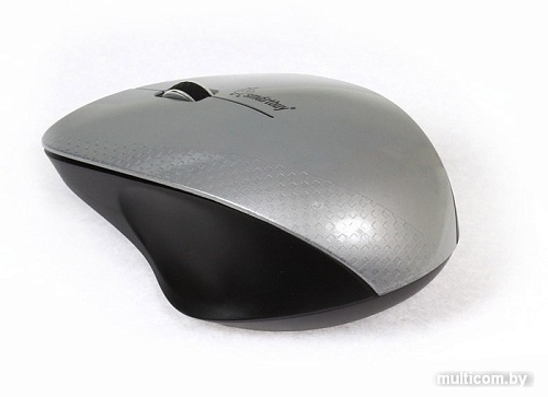 Мышь SmartBuy 309AG Silver/Black (SBM-309AG-SK)