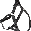 Шлея Ferplast Easy P XS 75558917 (черный)