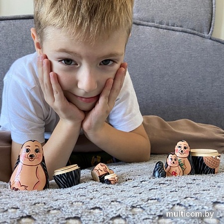 Развивающая игра Брестская Матрешка Ёжик (набор 5 шт)