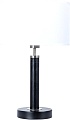Настольная лампа Arte Lamp Robert A5029LT-1SS