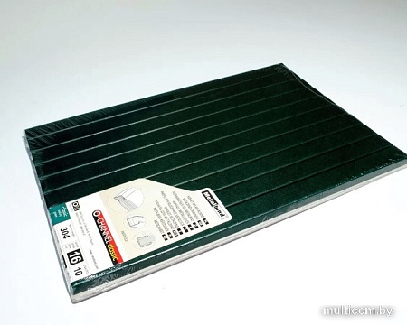 Металлический канал для переплета OPUS Classic 304x16 мм OCH1630410ZIE (10 шт, зеленый)