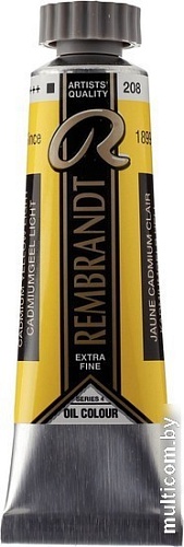 Rembrandt 208 01032082 (кадмий желтый светлый)