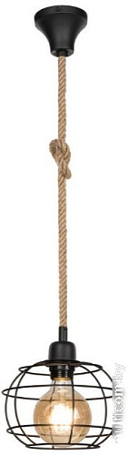 Подвесная люстра Toplight Adella TL1600H-01BK