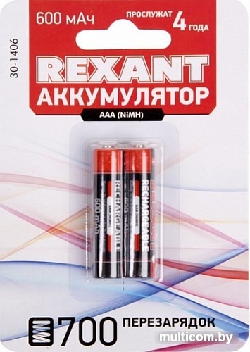 Аккумуляторы Rexant AAA 600mAh 2шт 30-1406