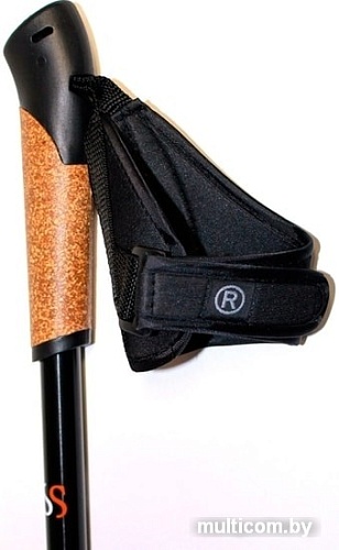 Палки для скандинавской ходьбы Gess Basic Walker GESS-919