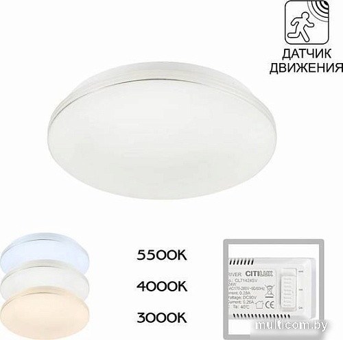 Припотолочная люстра Citilux Симпла CL71424SV