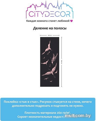 Виниловые обои Citydecor Perfect Lines 13 100x260