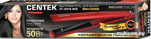 Выпрямитель CENTEK CT-2018