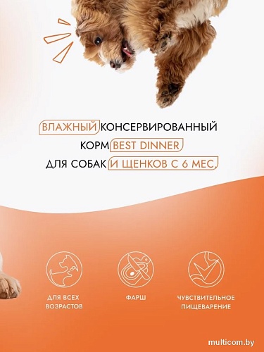Консервированный корм для собак Best Dinner Для щенков и взрослых собак Птица с картофелем (850 г)
