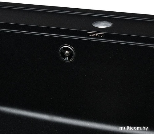 Кухонная мойка Wisent 600-25W (с сифоном GER013)