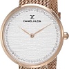 Наручные часы Daniel Klein DK11987-3