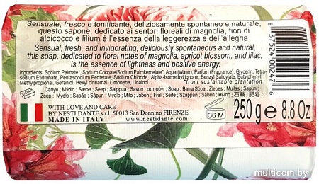 Nesti Dante Мыло твердое Pisa 250 г