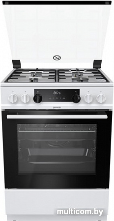Кухонная плита Gorenje K634WH