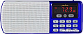 Радиоприемник Perfeo Егерь i120-BL