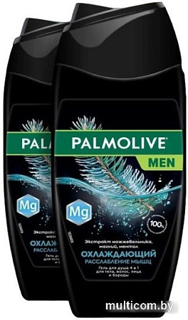 Palmolive Men охлаждение и расслабление мышц 2x250 мл