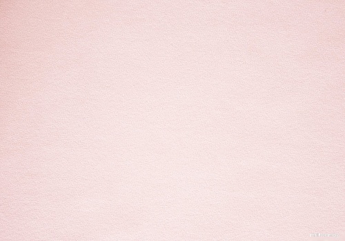 Декоративная подушка Сонум Тедди 17x50 (розовый)