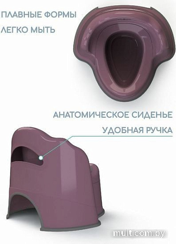 Детский горшок Amarobaby Ergonomic AB221103Er/22 (фиолетовый)