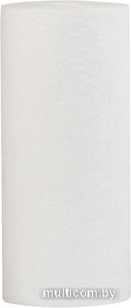 Картридж Гейзер PP1 10SL