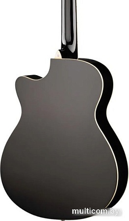 Акустическая гитара Naranda DG220CBK