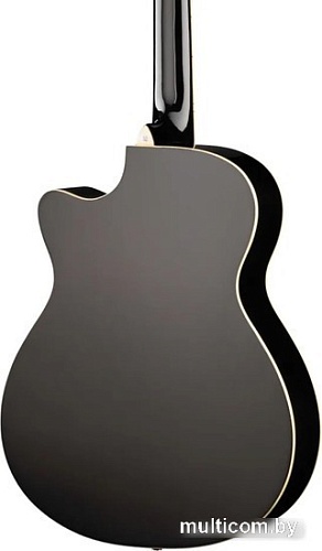 Акустическая гитара Naranda DG220CBK